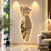 One Piece Shaped Mirror